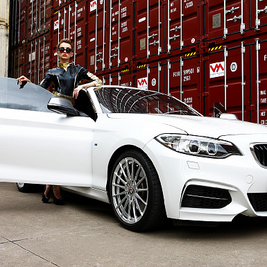 Vissol wheels